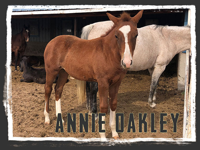 Annie Oakley